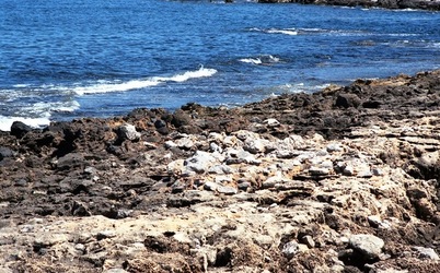 SCOGLIERA ROSSA fotografie di Giulio Azzarello &copy;2021.