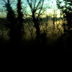 TRENO fotografie di Giulio Azzarello ©2020. TRENO fotografie di Giulio Azzarello ©2020.