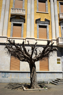 TRAPANI il centro storico il porto il mare la colombaia. Fotografie di Giulio Azzarello ©2014. TRAPANI il centro storico il porto il mare la colombaia. Fotografie di Giulio Azzarello ©2014.