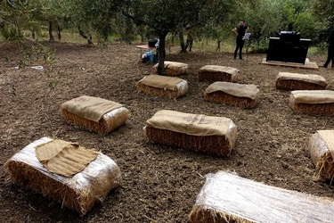ULIVETO SICILIANO. Fotografie di Giulio Azzarello ©2022.