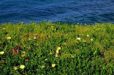 TERRASINI in Sicilia. Fotografie di Giulio Azzarello &copy;2018.