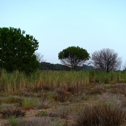 SELINUNTE. Fotografie di Giulio Azzarello ©2022. SELINUNTE. Fotografie di Giulio Azzarello ©2022.