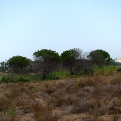 SELINUNTE. Fotografie di Giulio Azzarello ©2022. SELINUNTE. Fotografie di Giulio Azzarello ©2022.