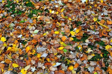 BIENNALE di VENEZIA 2017 la citt&agrave; particolari. Fotografie di Giulio Azzarello &copy;2018.