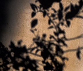 OMBRE di agosto. Fotografie di Giulio Azzarello &copy;2018.