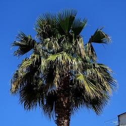 PALERMO. Fotografie di Giulio Azzarello ©2022. PALERMO. Fotografie di Giulio Azzarello ©2022.