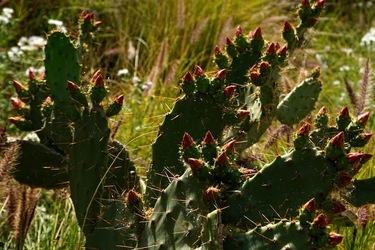 MONDELLO. Fotografie di Giulio Azzarello &copy;2023.