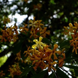 ORTO BOTANICO. Fotografie di Giulio Azzarello &copy;2024.