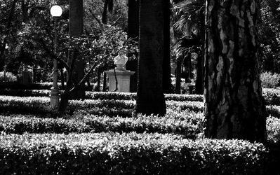 BIANCO NERO. Fotografie di Giulio Azzarello ©2021. BIANCO NERO. Fotografie di Giulio Azzarello ©2021.