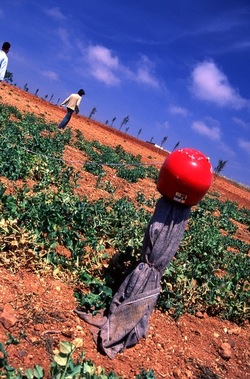DIAPOSITIVE fotografie di Giulio Azzarello ©1996 2021.