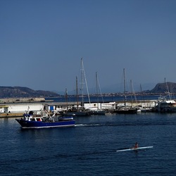 PALERMO. Fotografie di Giulio Azzarello &copy;2024.