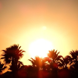 SELINUNTE. Fotografie di Giulio Azzarello ©2022. SELINUNTE. Fotografie di Giulio Azzarello ©2022.