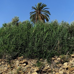 SELINUNTE. Fotografie di Giulio Azzarello ©2022. SELINUNTE. Fotografie di Giulio Azzarello ©2022.