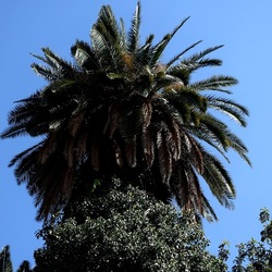 Arabo Normanno. Fotografie di Giulio Azzarello ©2024. Arabo Normanno. Fotografie di Giulio Azzarello ©2024.