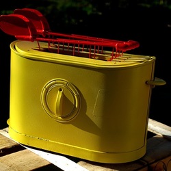 TOAST. Fotografie di Giulio Azzarello &copy;2025.