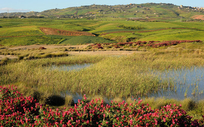 PAESAGGIO SICILIANO nel luogo delle macalube in Sicilia. Fotografie di Giulio Azzarello &copy;2014.