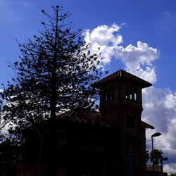 MONDELLO fotografie di Giulio Azzarello ©2021. MONDELLO fotografie di Giulio Azzarello ©2021.