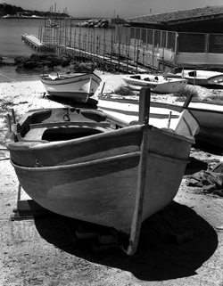 BIANCO NERO. Fotografie di Giulio Azzarello ©2021. BIANCO NERO. Fotografie di Giulio Azzarello ©2021.