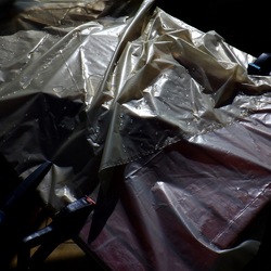 AUTUNNO fotografie di Giulio Azzarello ©2021. AUTUNNO fotografie di Giulio Azzarello ©2021.