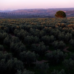 SELINUNTE. Fotografie di Giulio Azzarello ©2022. SELINUNTE. Fotografie di Giulio Azzarello ©2022.