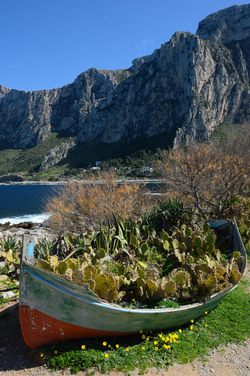 CAPO GALLO riserva marina e naturalistica a Palermo panoramiche e particolari. Fotografie di Giulio Azzarello ©2014. CAPO GALLO riserva marina e naturalistica a Palermo panoramiche e particolari. Fotografie di Giulio Azzarello ©2014.