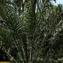 PALERMO. Fotografie di Giulio Azzarello &copy;2022.