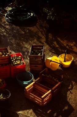 DIGITALIZZAZIONI fotografie di Giulio Azzarello &copy;2020.