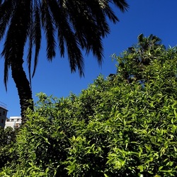 GIARDINO. Fotografie di Giulio Azzarello ©2022.