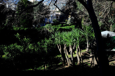 VILLA NISCEMI a Palermo. Fotografie di Giulio Azzarello &copy;2016.