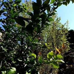 Arabo Normanno. Fotografie di Giulio Azzarello ©2024. Arabo Normanno. Fotografie di Giulio Azzarello ©2024.