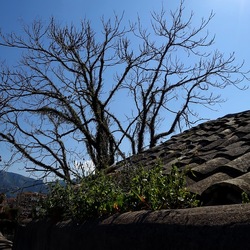 Arabo Normanno. Fotografie di Giulio Azzarello ©2024. Arabo Normanno. Fotografie di Giulio Azzarello ©2024.