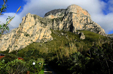 MACCHIA MEDITERRANEA in Sicilia. Fotografie di Giulio Azzarello &copy;2106.