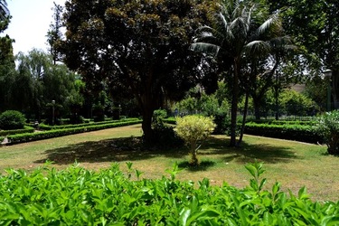 GIARDINO ARABO fotografie di Giulio Azzarello ©2021. GIARDINO ARABO fotografie di Giulio Azzarello ©2021.