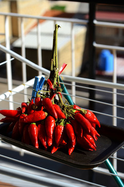 PEPERONCINO fotografie di Giulio Azzarello ©2014. PEPERONCINO fotografie di Giulio Azzarello ©2014.