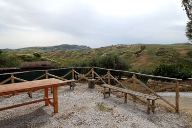 ULIVETO SICILIANO. Fotografie di Giulio Azzarello ©2022.