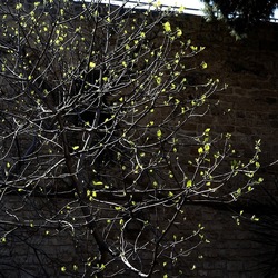 Arabo Normanno. Fotografie di Giulio Azzarello ©2024. Arabo Normanno. Fotografie di Giulio Azzarello ©2024.