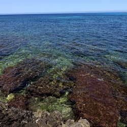 BAIA DEL CORALLO. Fotografie di Giulio Azzarello &copy;2022.