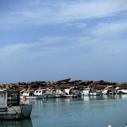 SELINUNTE. Fotografie di Giulio Azzarello &copy;2022.