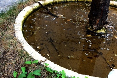 PALAZZO RISO Palermo. Fotografie di Giulio Azzarello ©2020. PALAZZO RISO Palermo. Fotografie di Giulio Azzarello ©2020.