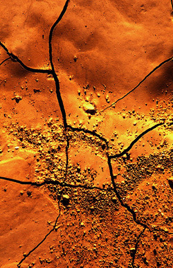 FIUMARA D ARTE fotografie di Giulio Azzarello ©1996 2021.