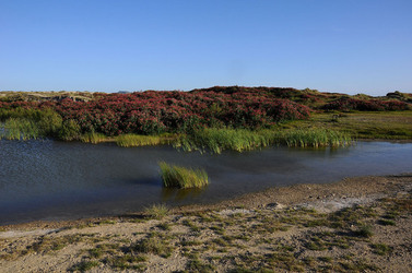 PAESAGGIO SICILIANO nel luogo delle macalube in Sicilia. Fotografie di Giulio Azzarello &copy;2014.