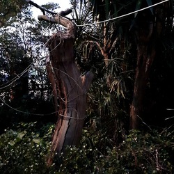 INVERNO. Fotografie di Giulio Azzarello &copy;2023.