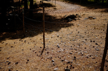 IL PARCO DELLE MADONIE da Polizzi Generosa in Sicilia. Fotografie di Giulio Azzarello &copy;2014.