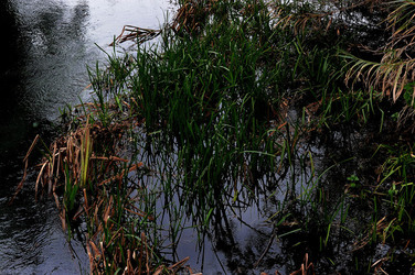 PAESAGGIO CATANESE panoramiche e particolari. Fotografie di Giulio Azzarello &copy;2014.