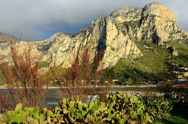 MACCHIA MEDITERRANEA in Sicilia. Fotografie di Giulio Azzarello &copy;2106.
