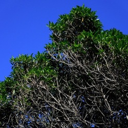 CAMPEGGIO fotografie di Giulio Azzarello ©2019. CAMPEGGIO fotografie di Giulio Azzarello ©2019.