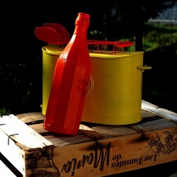 TOAST. Fotografie di Giulio Azzarello &copy;2025.