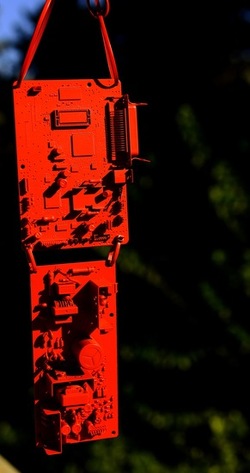 STILL LIFE ASSURDI fotografie di Giulio Azzarello ©2020.