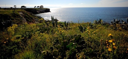 PAESAGGIO SICILIANO Terrasini. Fotografie di Giulio Azzarello &copy;2018.
