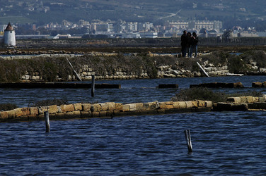 WWF Sicilia le Saline di Trapani. Fotografie di Giulio Azzarello &copy;2014.